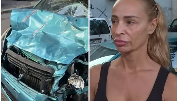 СТОЛИЦА ЛИ?! Стадо биволи предизвика поредна катастрофа в София