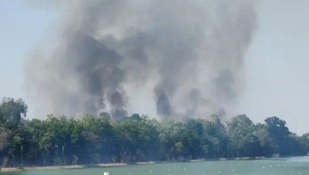 Пловдивските огнеборци гасят пожар край Гребната база