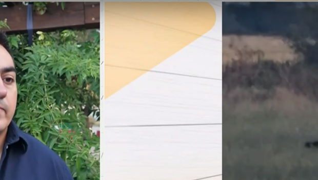 ОЧЕВИДЕЦ ЗА ЧЕРНИЯ ЛЕОПАРД: Животното беше на 10 метра от мен, явно гонеше плячка