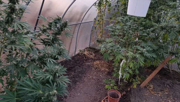 Троен удар по наркопазара във Варна