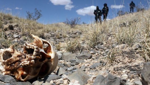 48 чувала с човешки останки са намерени в тайно гробище в крепост на картел в Мексико