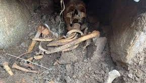 Проверяват по кости за нелегална кланица край Нова Загора