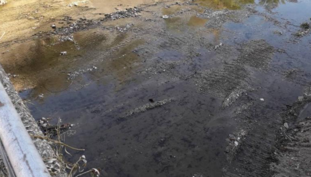 Проверяват речни корита и дерета във Варненско