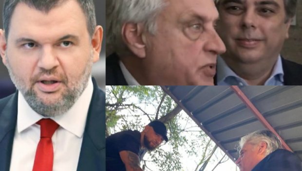 ПЪРВО В ПИК TV! Делян Пеевски: Сатрапът Рашков заедно с момичето с пеньоара се гърчиха като червеи и пак излъгаха (ВИДЕО)