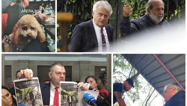 ЧОВЕКЪТ НА ГРУПИРОВКИТЕ: Бойко Рашков - от Илия Павлов през Божков до контрабандиста Стефан и лихваря Мухарем Мухата