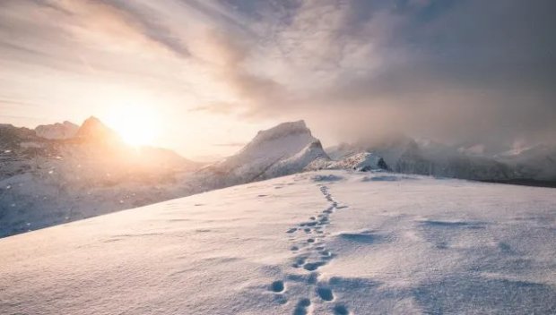 Петима туристи загинаха по време на снежна буря