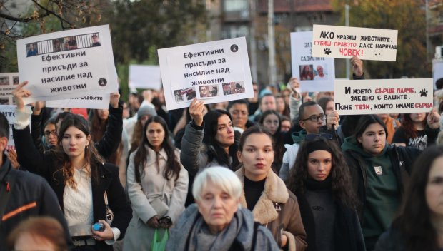 Протестът за кучето Мая блокира трамваите по бул. Витоша