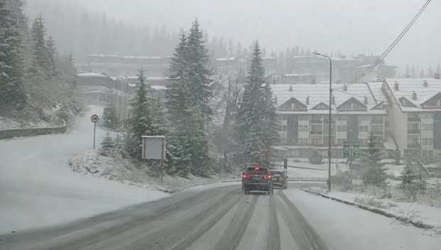 Пампорово побеля, снежната покривка е 10 см