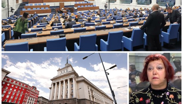 ЛЕКСИКАТА В ПАРЛАМЕНТА: Експерт от БАН попиля депутатите за кръчмарския им език