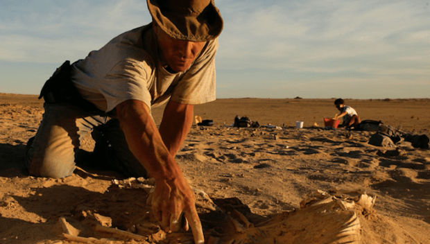 Откриха следи от неизвестна досега човешка популация