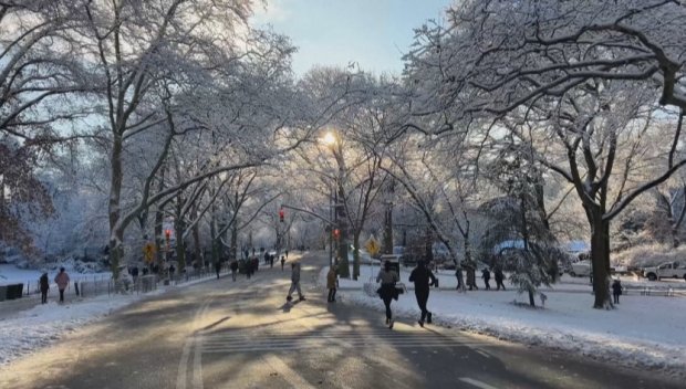 Първи сняг зарадва жителите на Ню Йорк