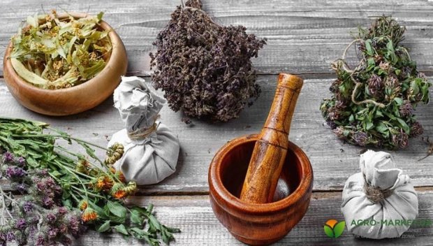 Седем билки и подправки срещу високото кръвно