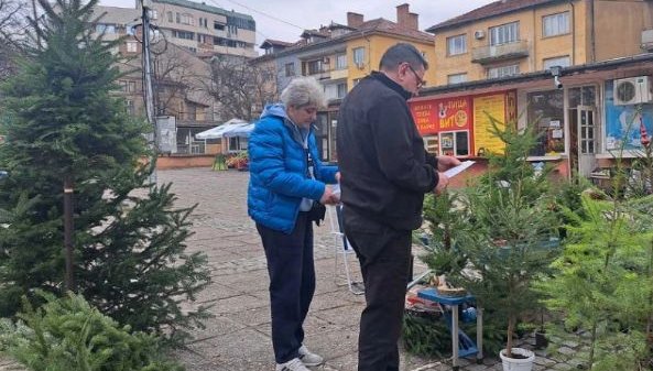 Солени глоби за незаконни елхи в Кюстендилско