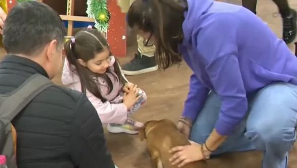 Кучета от Общинския приют в Русе гостуваха на библиотеката