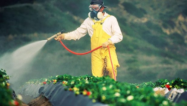 Храните с пестициди у нас най-често са с произход Турция и Италия