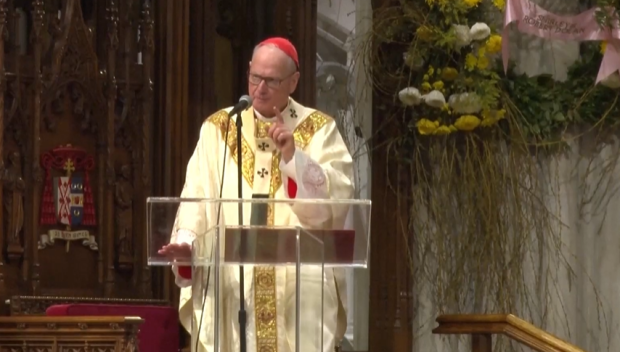 Папата : Войната в Иран става все по-тежка