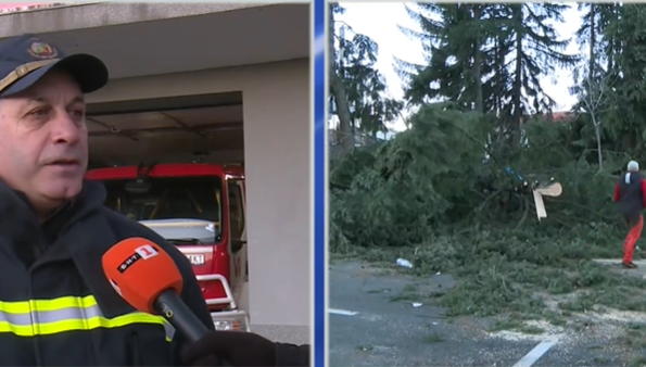На косъм от трагедия на Предела: Дърво падна върху движещ се автомобил на семейство от Чехия