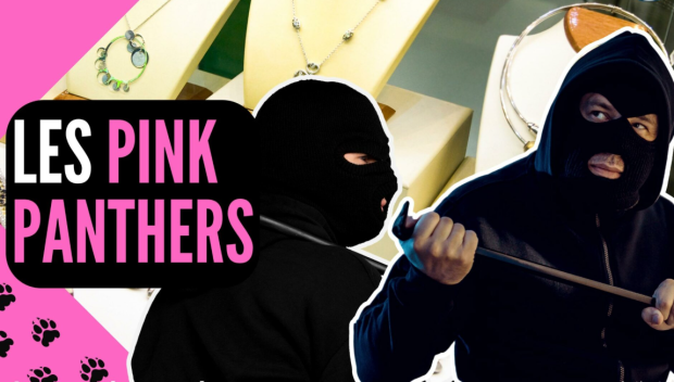 Арестуваха в България член на сръбските дръзки обирджии Розовите пантери