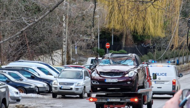 Фотосесия засне зловещата гледка на колата, в която, премазана от дърво, загина майката на две деца (СНИМКИ)