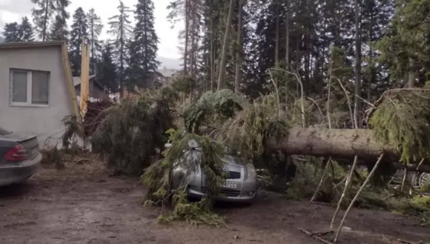 ЗАРАДИ УРАГАНЕН ВЯТЪР: Задействаха системата BG-ALERT на Боровец