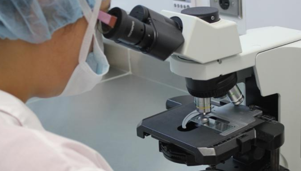 Пробив: Учени откриха как да спрат повторната поява на рак