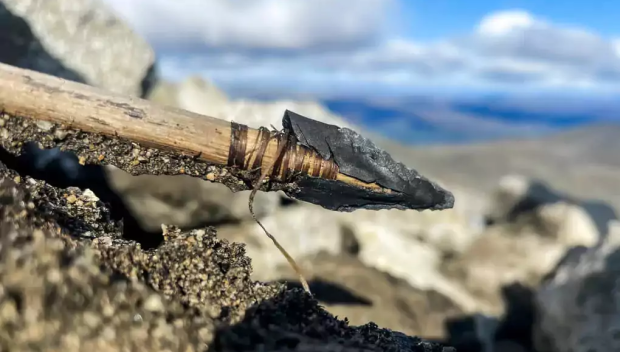 РАЗКРИХА кои са най-старите отровни оръжия в света