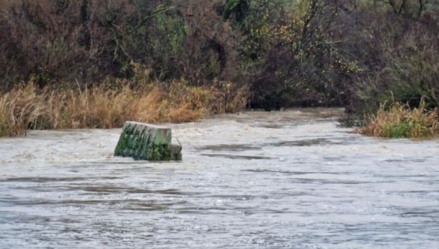 След издирване: Откриха тялото на 63-годишен мъж в Бранковска река