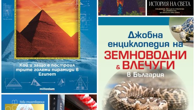 Топ 5 на най-продаваните книги на издателство Милениум (17-23 януари)