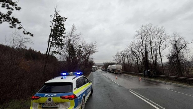 ЗЛОВЕЩА КАТАСТРОФА: Германец уби при челен удар мъж от Монтанско (СНИМКИ)