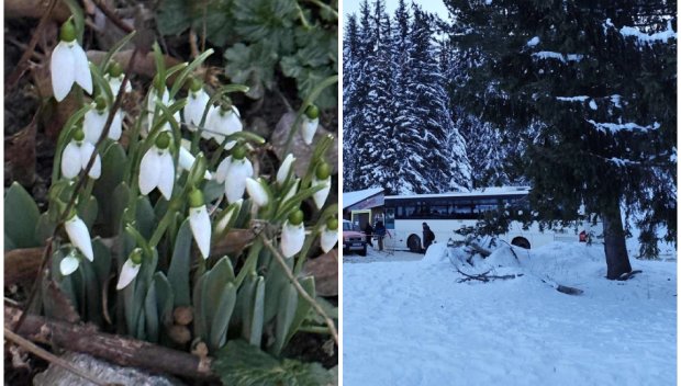 ЯНУАРСКИ АМПЛИТУДИ: Термометърът в София скача до 8 градуса, слънчево в планините, на места прехвърча сняг