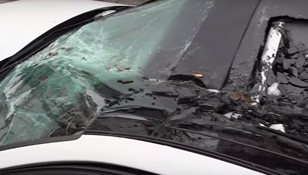 Съборени дървета и премазани коли в Пловдив след снеговалежа