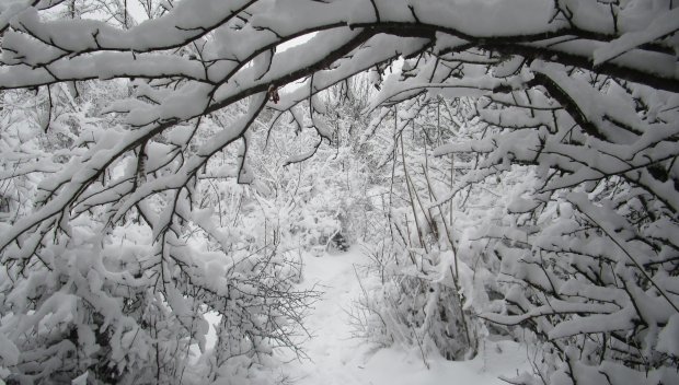 Meteo Balkans със СТРАХОВИТО ПРЕДУПРЕЖДЕНИЕ: Обстановката ще се влошава, очаква се до 15 см снежна покривка и заледявания
