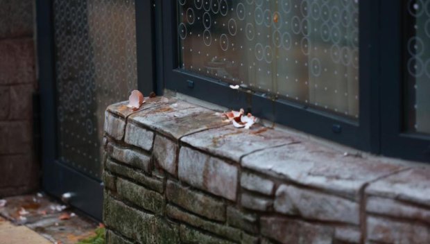 Разбити яйца по входната врата на столичния АГ кабинет със скритата камера