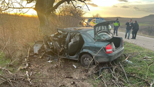 Удар в крайпътно дърво край Шумен, шофьорът бере душа