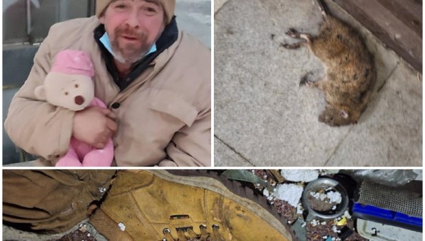 Разтърсващата история на един наръфан от плъхове софийски бездомник...(СНИМКИ)