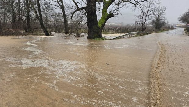 Усложнена обстановка в Петричко заради обилните валежи (ВИДЕО)