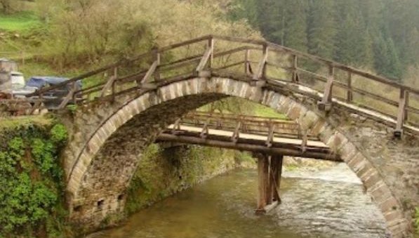 Пожарникари от Девин спасиха бедстващо куче в река