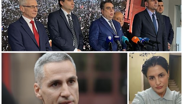 Калина Андролова с дисекция на ППДБ: Жълтопаветниците не могат да управляват - те могат да скачат по площадите и после да образуват секти