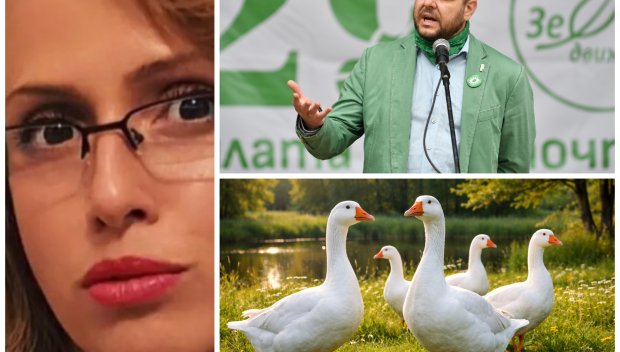 ШОКИРАЩО: Вижте какви милиони в евро са усволи зелените талибани за пеликани и гъски