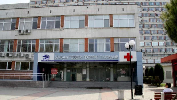 Стабилизираха нахапаното от кане корсо дете