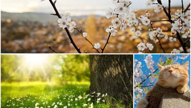 ХУБАВО ВРЕМЕ! Понеделникът ни радва с много слънце и пролетни температури (КАРТА)