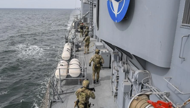 2500 морски тюлени се вихрят за учението Морски щит