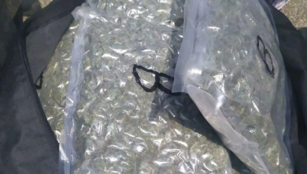 Откриха 660 кг канабис на сметище край Бобов дол