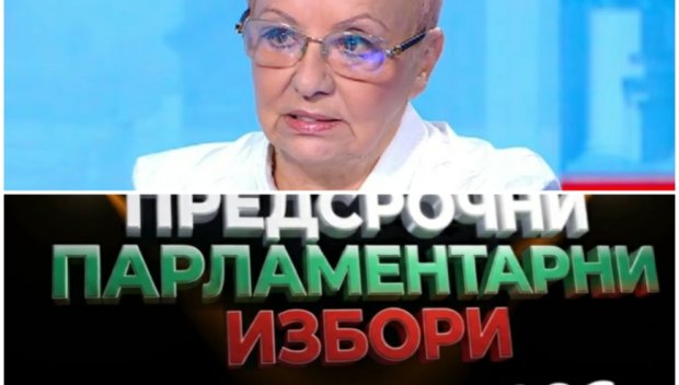 Диана Дамянова уличи гнусната система от тролове на ППДБ: Свински елфи! Мирчев, нещо?