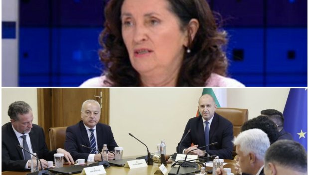 Проф. Бобева похвали правителството за финансовите мерките и им даден ценен съвет, свързан с доходите на работещите