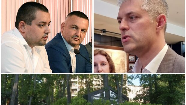 НОВИ РАЗКРИТИЯ: КУБ секли поголовно дървета без заповед, докато Благо Коцев тупал топката