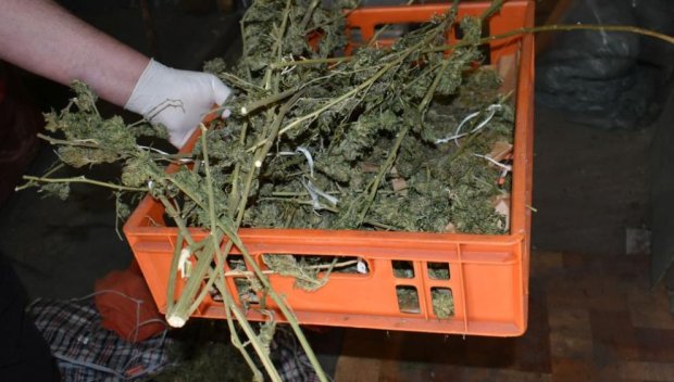 Задържаха двама, опитали да продадат канабис на полицай