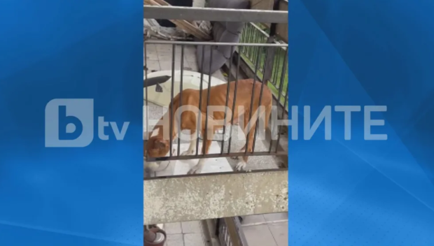 Социалният министър нареди проверка как е отглеждано детето в дома със заключените животни в Люлин