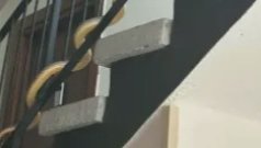 Огромна змия шокира живеещи в блок в Пловдив