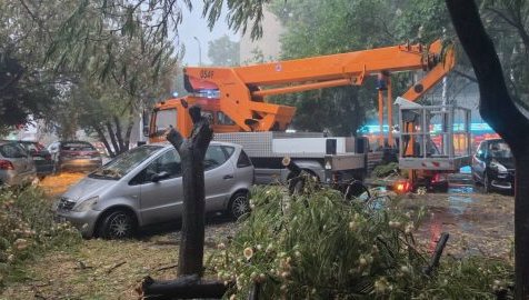 Над 80 сигнала след лятната буря в Пловдив